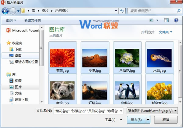 如何批量将图片快速导入到PowerPoint2013中