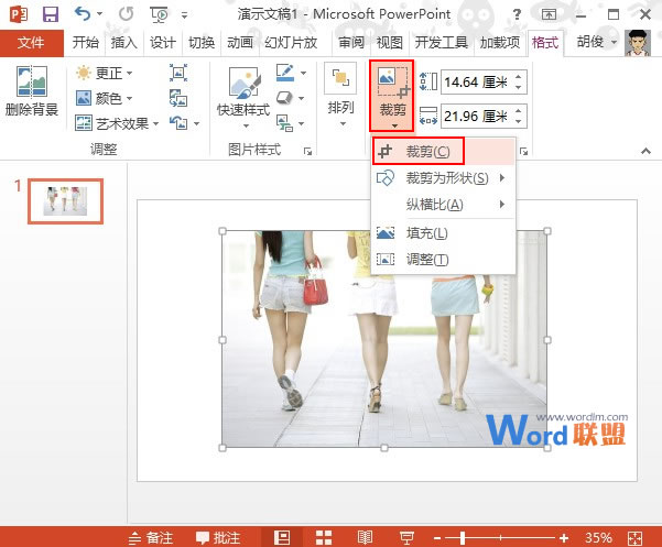 PowerPoint2013图片处理技巧：利用颜色对比来突出显示